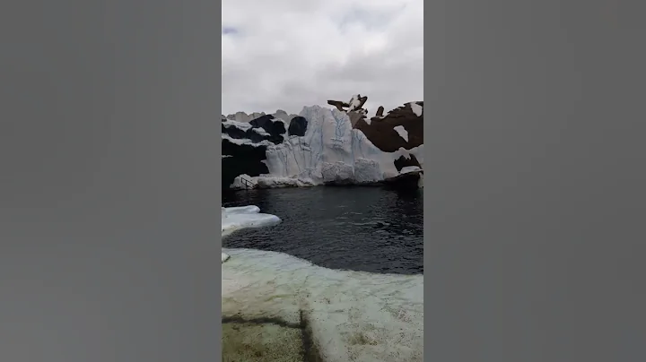 Artic