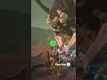 Someone explain how this happened I’ve been wondering how I pulled that off #zelda #breathofthewild