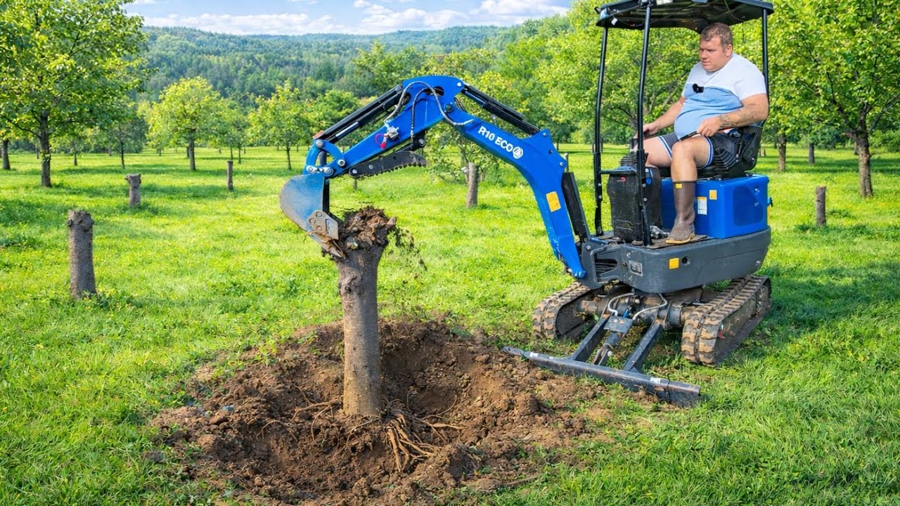 $1999 Rippa R10 1 Ton Removing a Tree Stump
