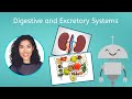 Digestive and Excretory Systems - Biology for Teens!