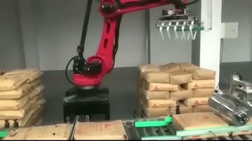 4 Axis Robot working
