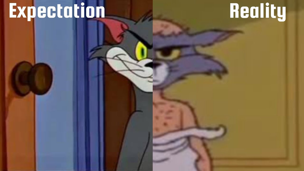 During Holidays Expectation VS Reality Meme