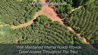 Horton Tract