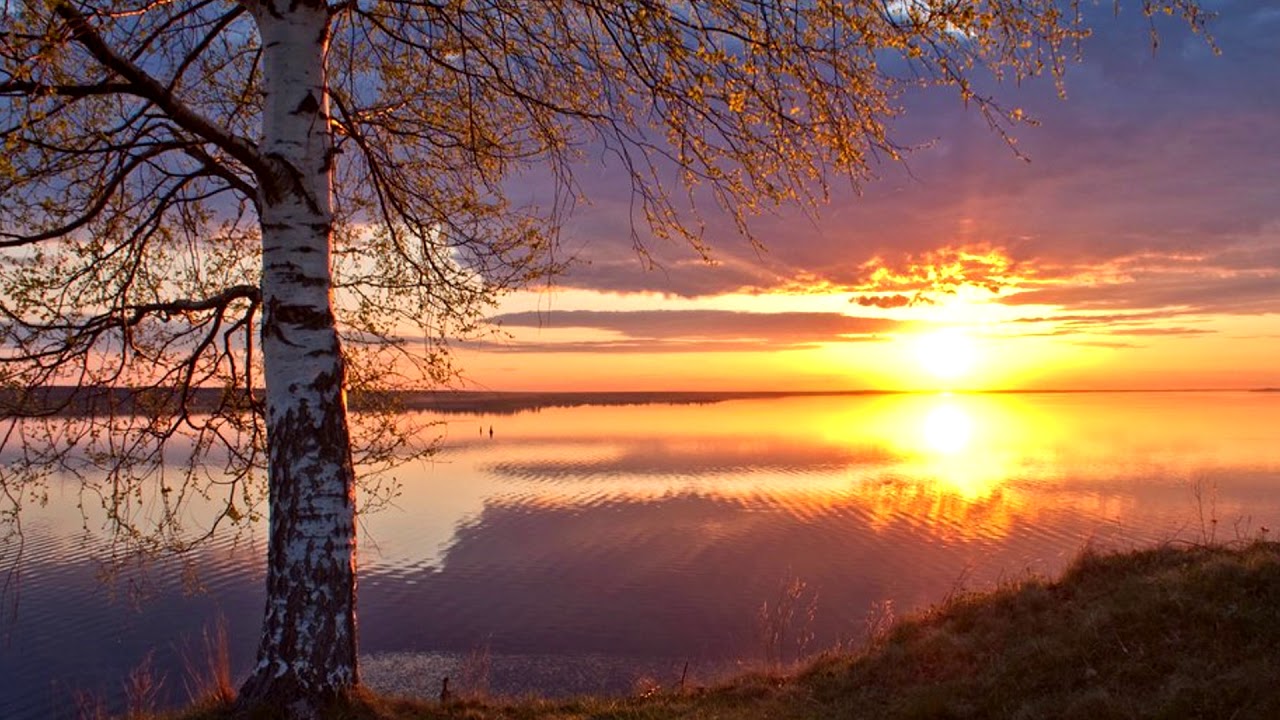Фото солнце россия. Весенний закат. Осенний рассвет. Красивый рассвет.