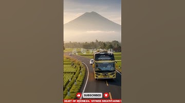 Hidden Paradise: Discover the Beauty of Rural Indonesia 😍 #shorts #shortsfeed #shortsvideo #bus