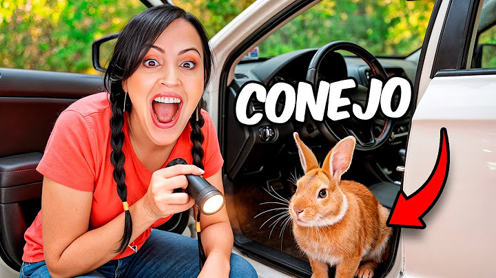 They Hide a Rabbit in My Car 😅 River Farm is SO FUNNY 😁 Sandra Cires Vlog