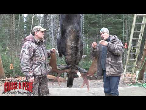 camera iphone 8 plus apk Rendez-Vous Nature.ca- Comment faire pour ne pas rater son tir au moment opportun?