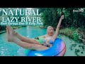 Florida's Natural Lazy River | Best Tubing & Hidden Gem in Orlando | Rock Springs at Kelly Park