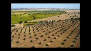 Video thumbnail of "meu alentejo sagrado.wmv"