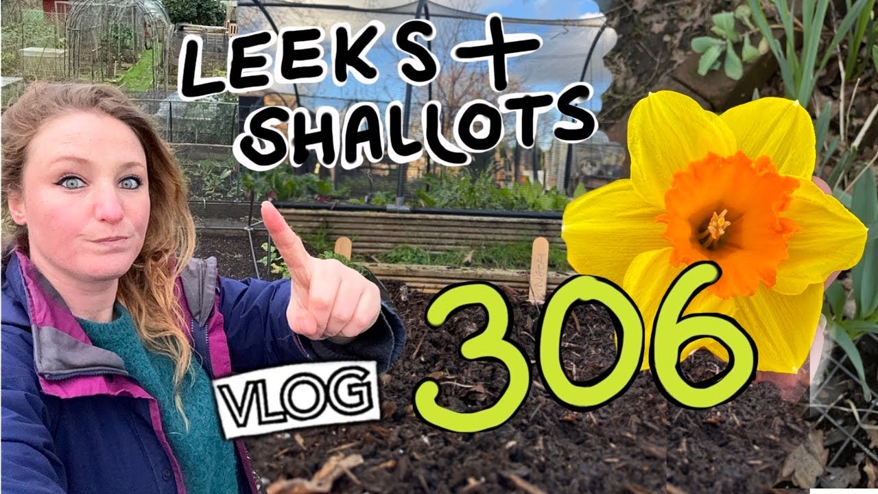 Leeks, Shallots and Spinach- last of the February Seeds Sown Ep306 || Plot 37