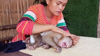 The Best Take Care, Mum Deep Cleaning And Bathing For Monkey Koko | Koko Always Yawning