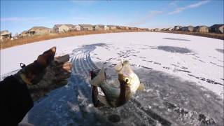 ICE FISHING CRAPPIE! Early Ice 2017 Season!