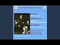 Miniature de la vidéo de la chanson Piano Trio No. 1 In B Flat Major, D. 898: I. Allegro Moderato