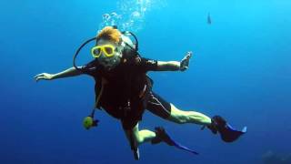 introduction to dive sonia