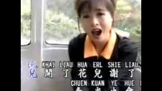 谢采妘 (Michelle Hsieh) - I CHIH CHING WEI LIAU