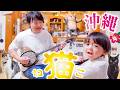 【沖縄】カワイイ猫ちゃんに会える自由すぎる自然派カフェ ※猫丸庵は猫カフェではございません