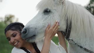 1 HOUR of AMAZING HORSES From Around the World - Best Relax Music, Meditation, Stress Relief, Calm