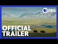 Arctic Wildlife and Migration Challenges