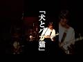 犬とバカ猫 #セカンドバッカー #バンド #ライブ #shorts