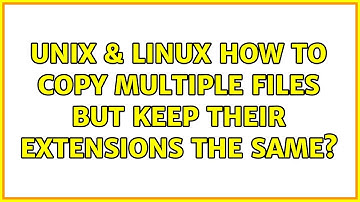 Unix & Linux: How to copy multiple files but keep their extensions the same? (2 Solutions!!)