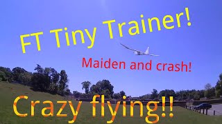 Getting stupid with the FT Tiny Trainer... maiden and crash!