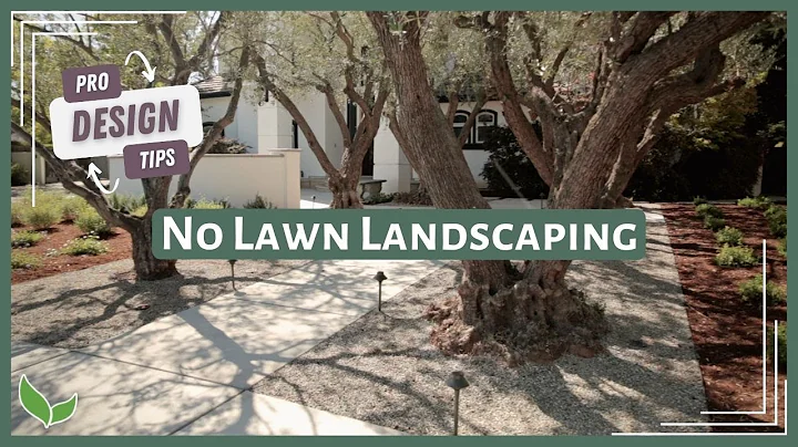 NO GRASS Front Yard Ideas | Xeriscape Landscape Design Tips from a Landscape Designer! - DayDayNews