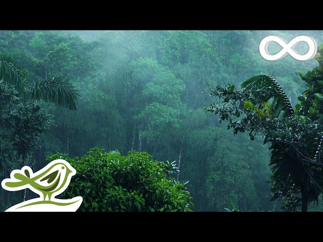 Relaxing Music u0026 Soft Rain: Sleep Music, Calm Piano Music, Healing Music, Peaceful Music ★149 class=