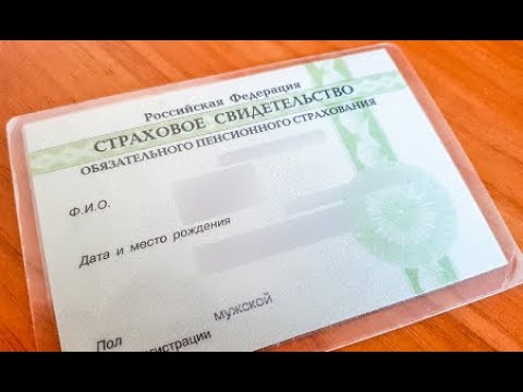 Можно ли узнать свой номер СНИЛС онлайн