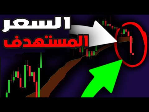 فيديو: هل يمكن أن يكون بولكادوت الإيثريوم التالي؟