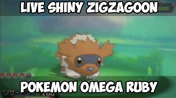LIVE SHINY ZIGZAGOON AFTER 123 DEXNAV ENCOUNTERS- (Pokemon Omega Ruby/Alpha Sapphire)