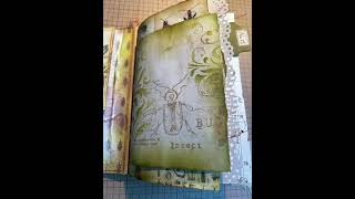 Bug Love! Entomology junk journal is finished!