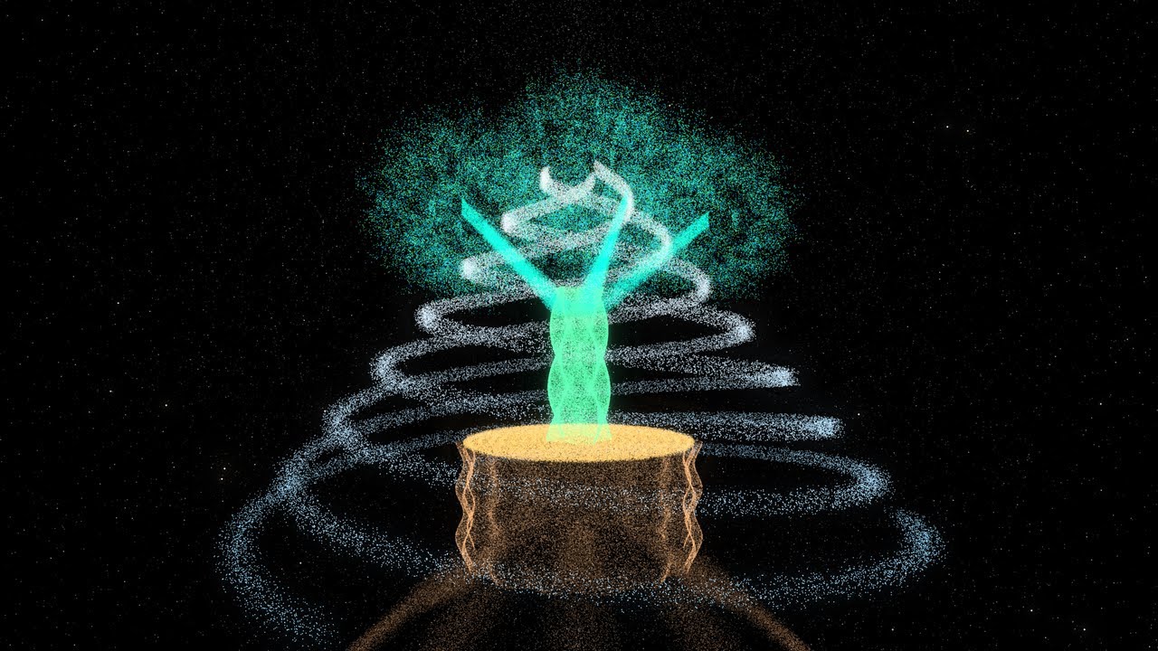 Legno: come si forma un albero dall'aria?