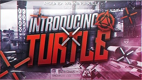 Introducing Myth Turtle by xJMx Tomzh