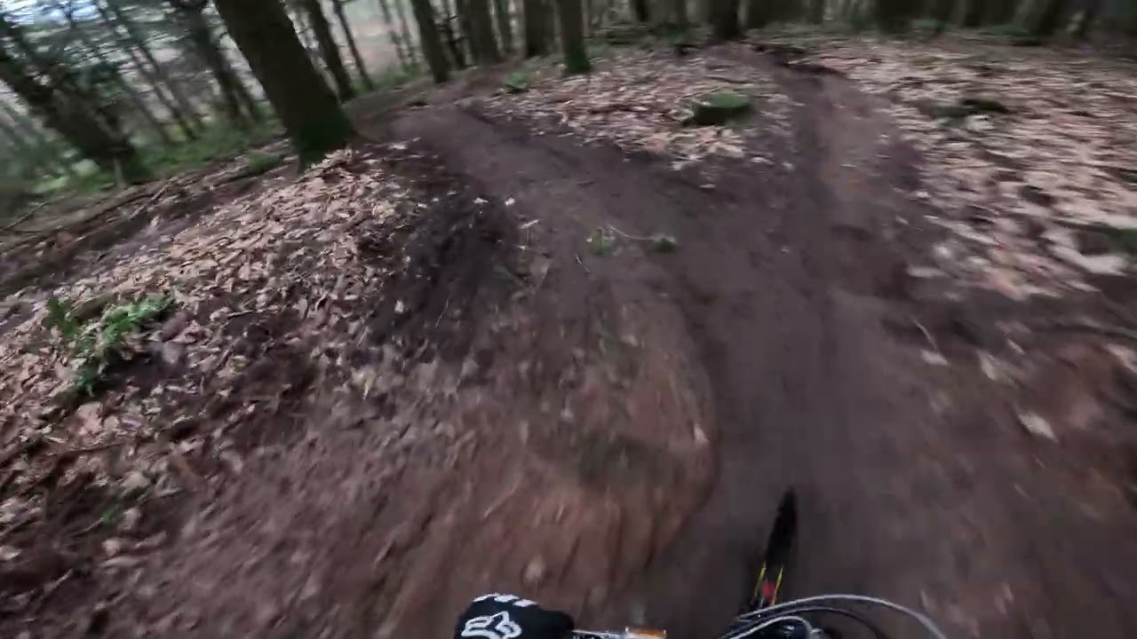 Forest of dean barn Hill off piste 