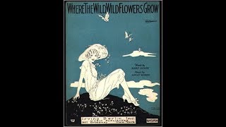 Lee Morse - Where The Wild Wild Flowers Grow 1927 Harry M. Woods 