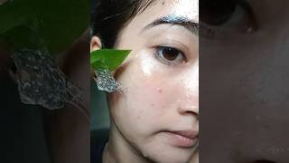 Aloe Vera Face Pack For Glowing Skin Homemade