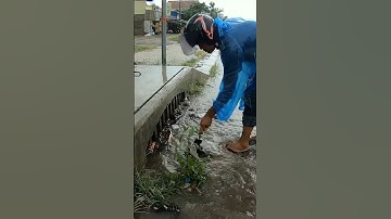Remove Debris Clogged Culvert Drain #unclog #remove #culvert #shorts