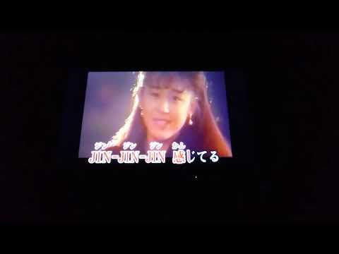 Winkの愛が止まらない～Turn It Ioto Love～ エイジ６６ カラオケで歌いました