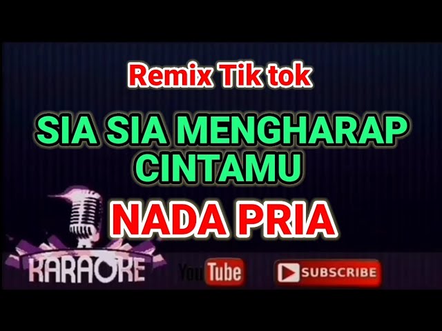 Dj Remix Tiktok -Sia Sia Mengharap Cintamu - Gustrian Geno (KARAOKE) Nada PRIA class=