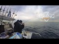 Snapper - Teraglin - Morwong - Flathead | Reef Fishing | Long Reef Sydney | Fishing Action TV