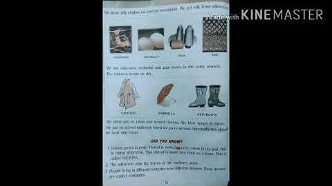 Our clothes, Evs, class 2