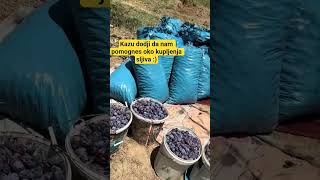 Kazu Dodji Na Selo Da Nam Pomognes