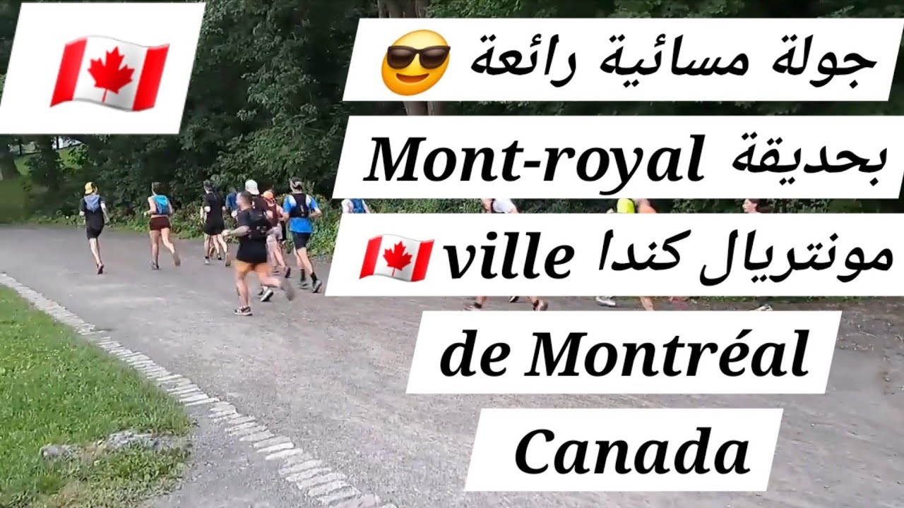 جولة  مسائية  رائعة  بحديقة  Mont-royal  مونتريال  كندا  🇨🇦  ville  de  Montréal  Canada 