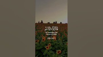 القارئ الشيخ رعد محمد الكردي [سورة الأعراف_الآية 69] WITH ENGLISH SUBTITLES