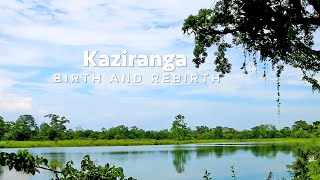 Why Kaziranga Floods Every Year