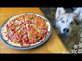 DIY PIZZA FOR DOGS | Dog friendly Pizza | DIY Dog Treats | Snow Dogs Snacks 66