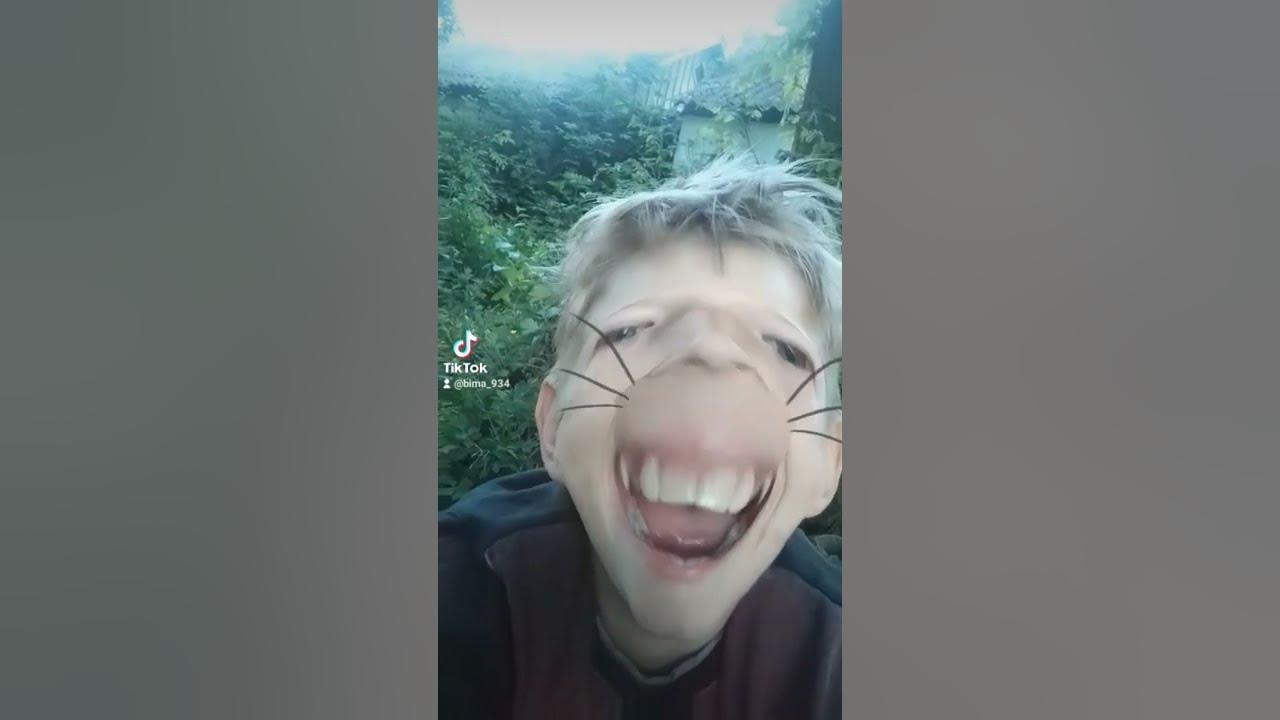 мишка сосиска 👍👍👍👍👍👍👍👍👍👍👍👍👍👍👍👍👍👍👍👍👍👍👍👍👍👍👍👍👍👍👍👍👍 - YouTube
