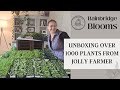 Over 1000 plants delivered to my door from jolly farmer 