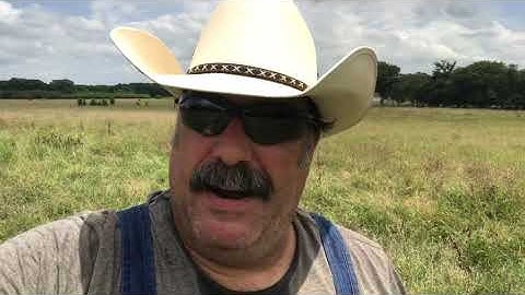 Hay field before after weed spray