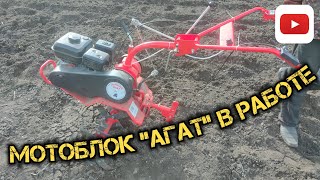 Мотоблок "Агат" 7 лошадек, в работе на второй передаче.